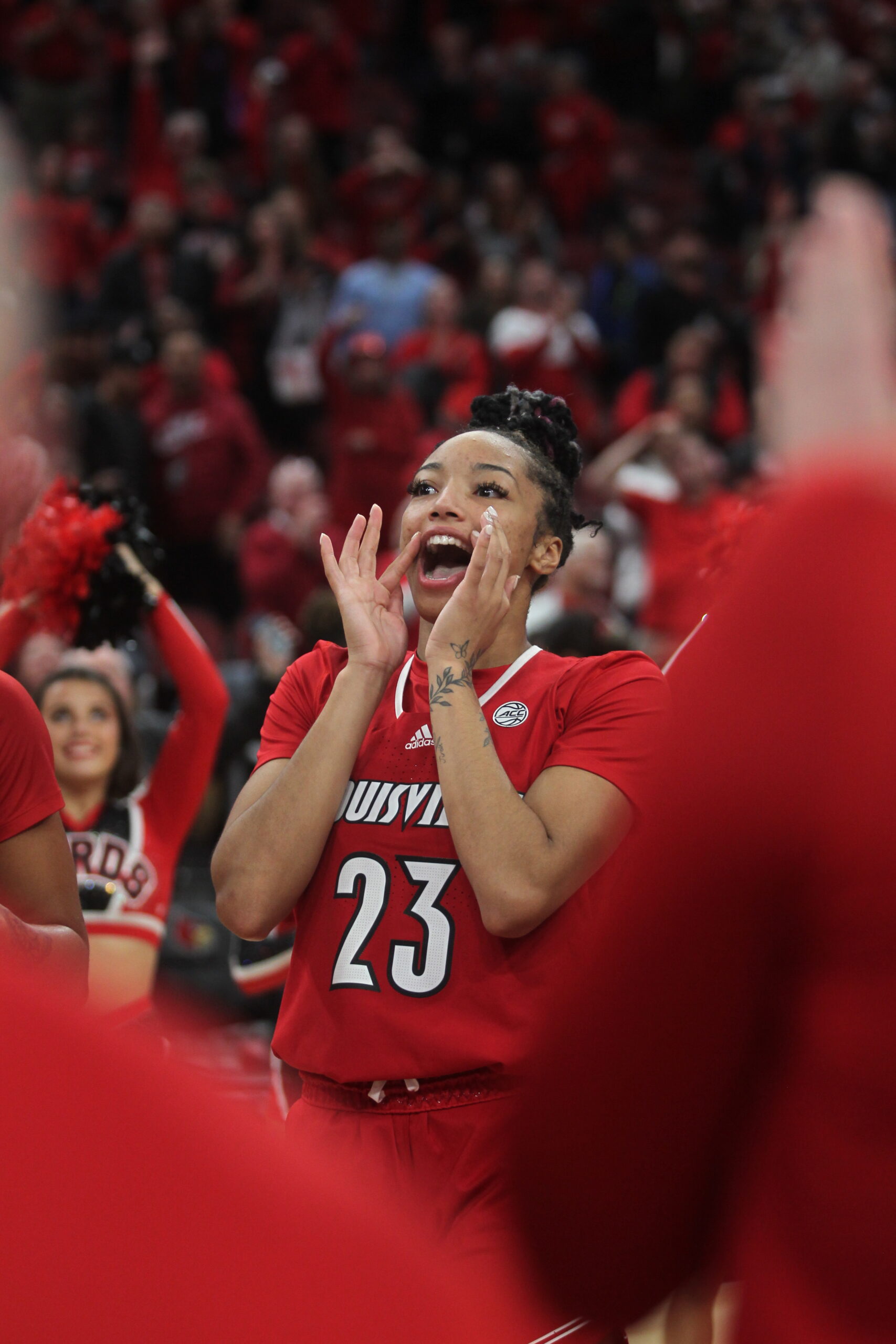 Preview No 18 Louisville Womens Basketball To Face Morehead State On Wednesday The